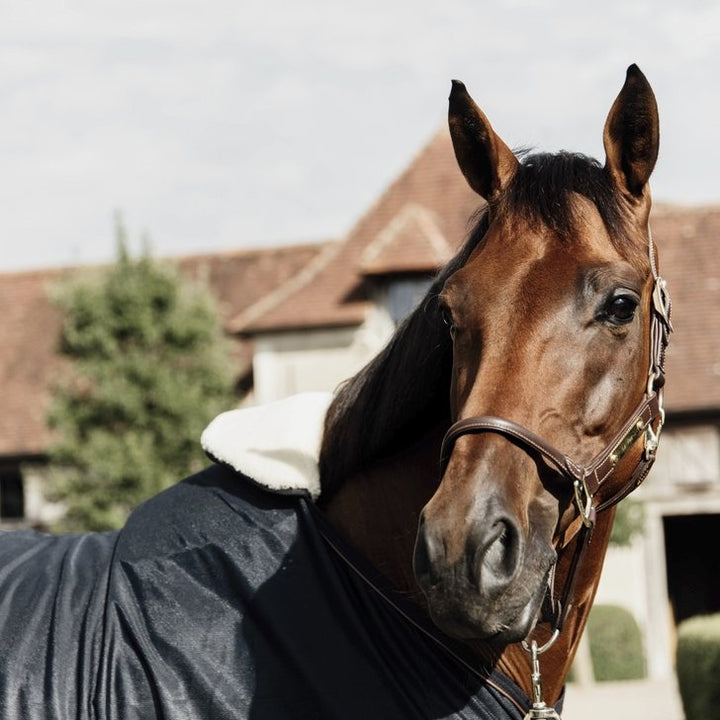 Horse Rug Bib (Wither Protection) | Kentucky Horsewear - Active Equine