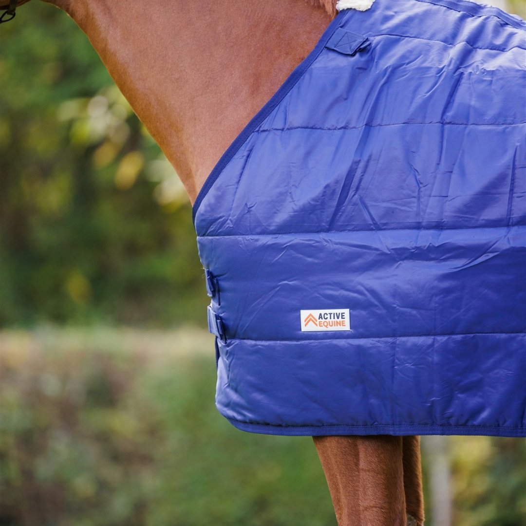 Horse Rug Liner 100g - Active Equine