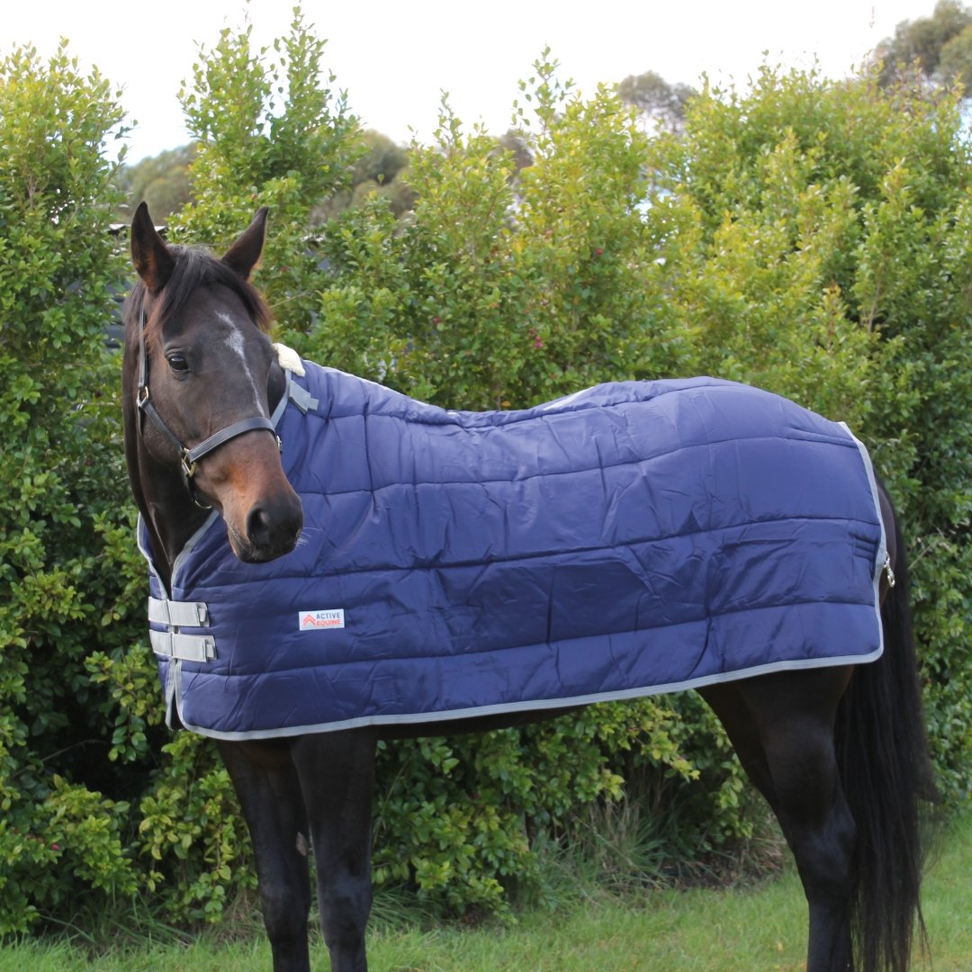 Horse Rug Liner 200g - Active Equine