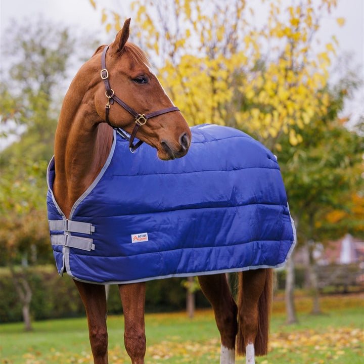 Horse Rug Liner 200g - Active Equine