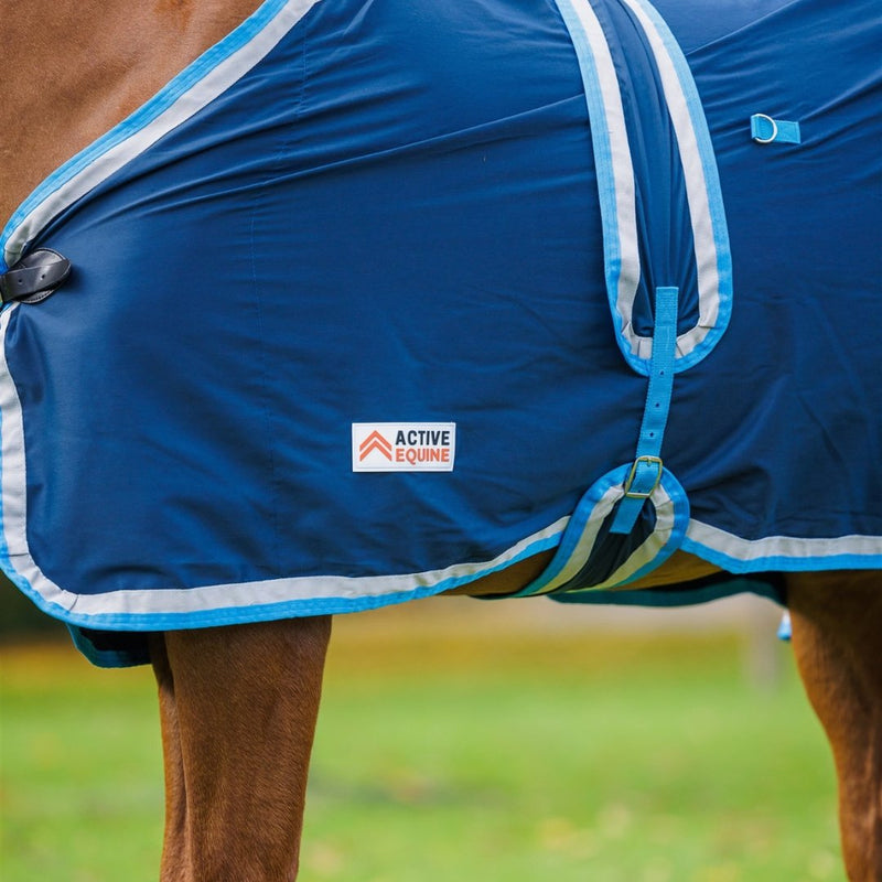 Horse Rug Show Set (rug, hood & tail bag) | Active Equine - Active Equine