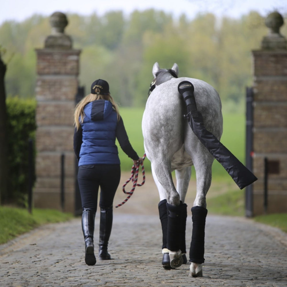 Horse Tail Guard With Bag (2 piece set) | Kentucky Horsewear - Active Equine