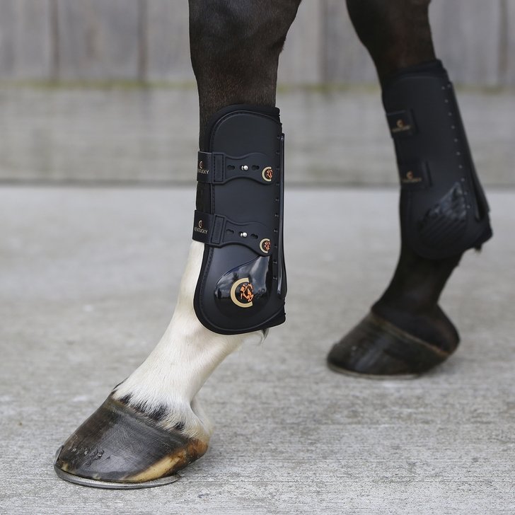 Horse Tendon Boots Elastic | Kentucky Horsewear - Active Equine