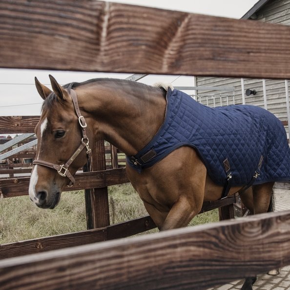 Horse Walker Rug 160g (lunging rug) | Kentucky Horsewear - Active Equine