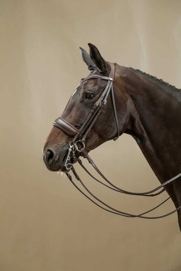 Matte Large Crank Noseband Double Bridle | Dyon | Working - Active Equine