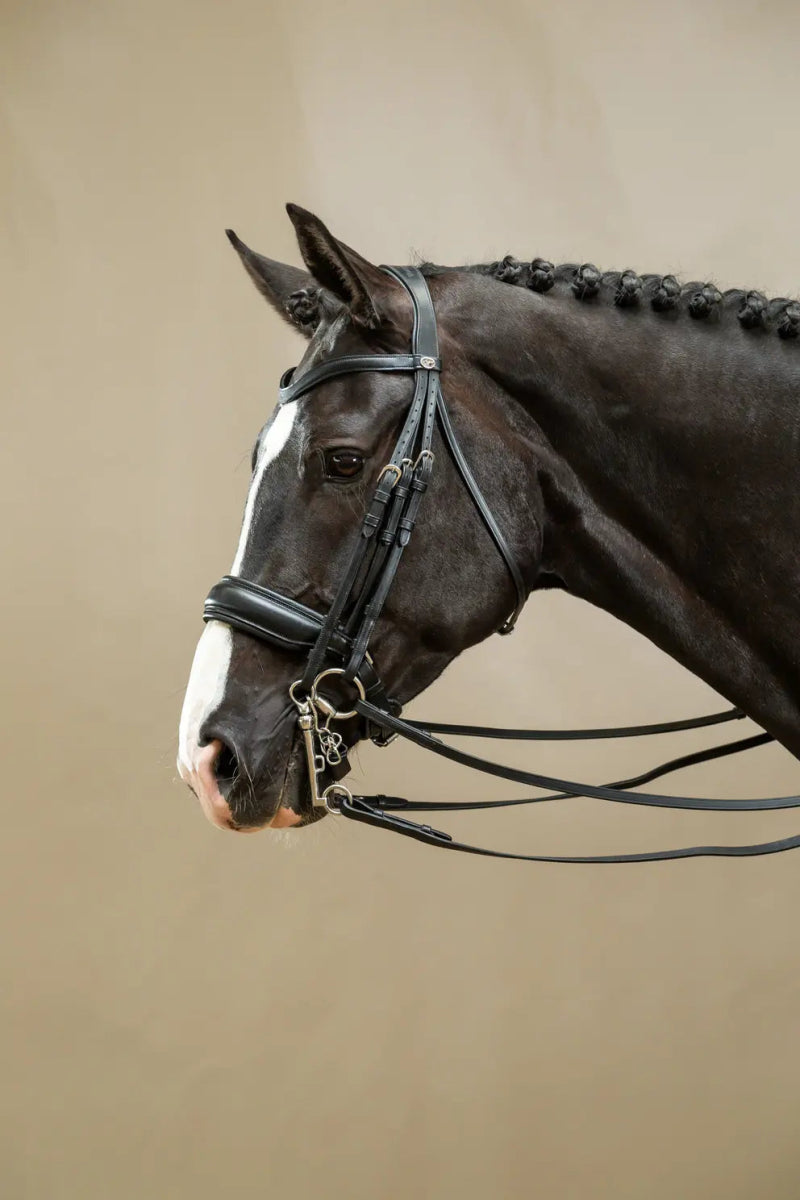 Matte Large Crank Noseband Double Bridle | Dyon | Working - Active Equine