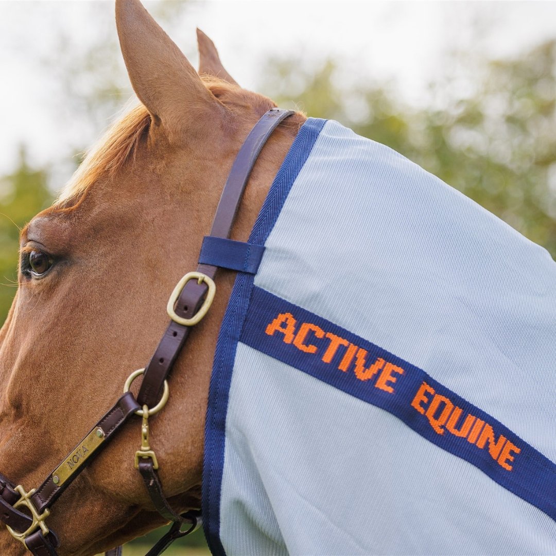 Mesh Combo Horse Rug 200gsm | Active Equine - Active Equine