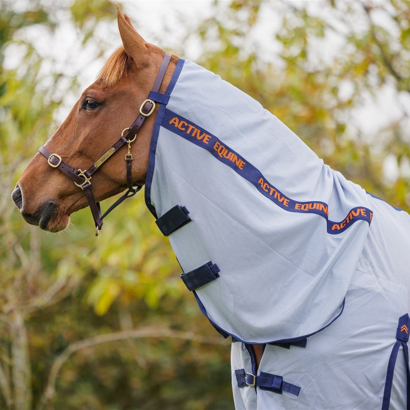 Mesh Combo Horse Rug 200gsm | Active Equine - Active Equine