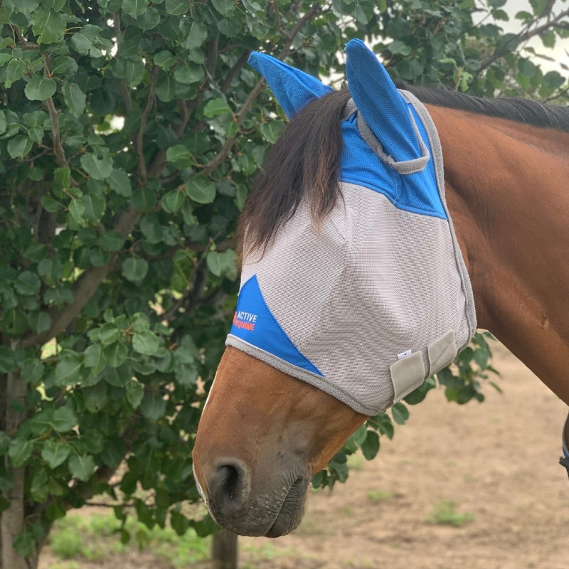 Fine mesh fly mask - Active Equine