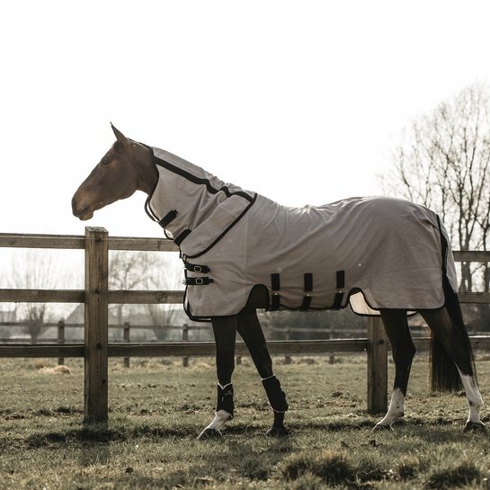 Fly Mesh Horse Rug - Active Equine