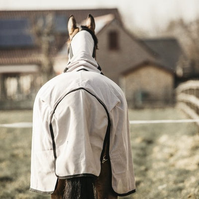 Mesh Fly Rug | Kentucky Horsewear - Active Equine