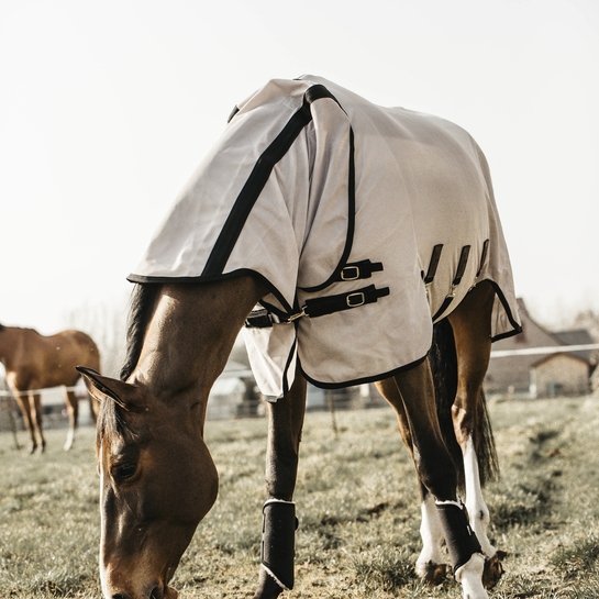 Mesh Fly Rug | Kentucky Horsewear - Active Equine