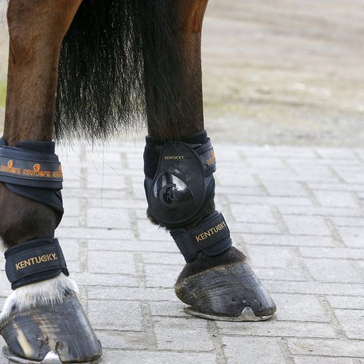 Pastern Wraps Equine Therapy (set of 2) | Kentucky Horsewear - Active Equine