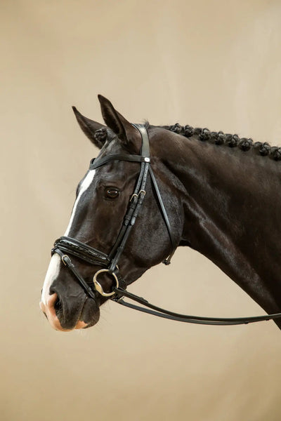 Patent Large Crank Noseband Bridle With Flash | Dyon | Working - Active Equine