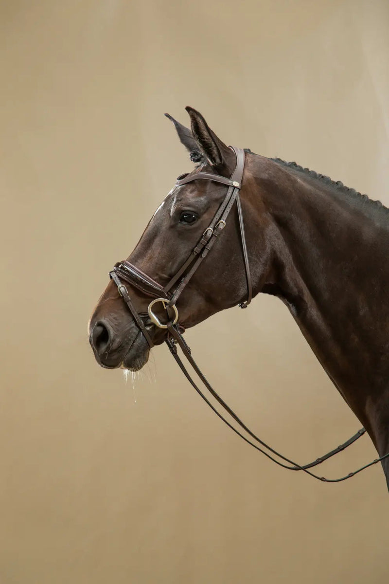 Patent Large Crank Noseband Bridle With Flash | Dyon | Working - Active Equine