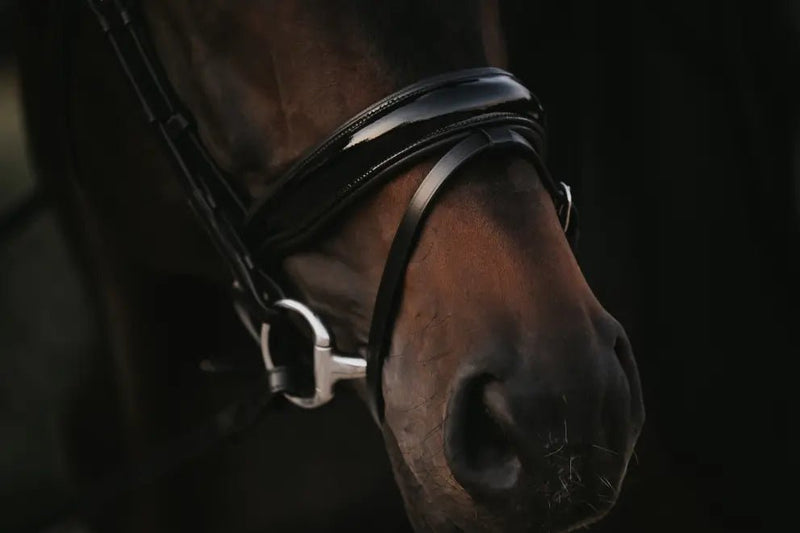 Patent Large Crank Noseband Bridle With Flash | Dyon | Working - Active Equine