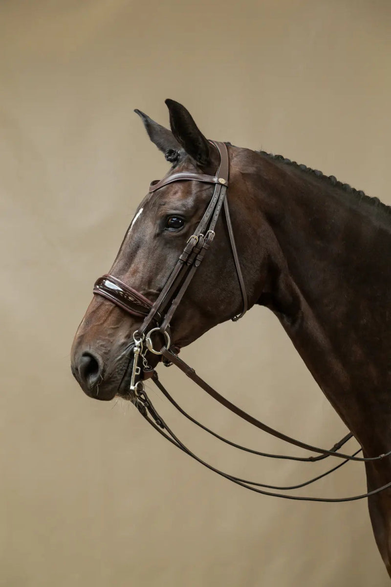 Patent Large Crank Noseband Double Bridle | Dyon | Working - Active Equine