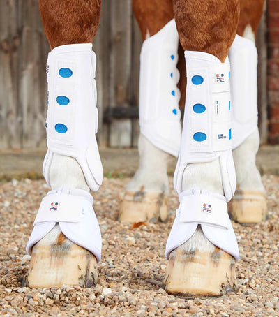 Eventing Horse Boots - Active Equine