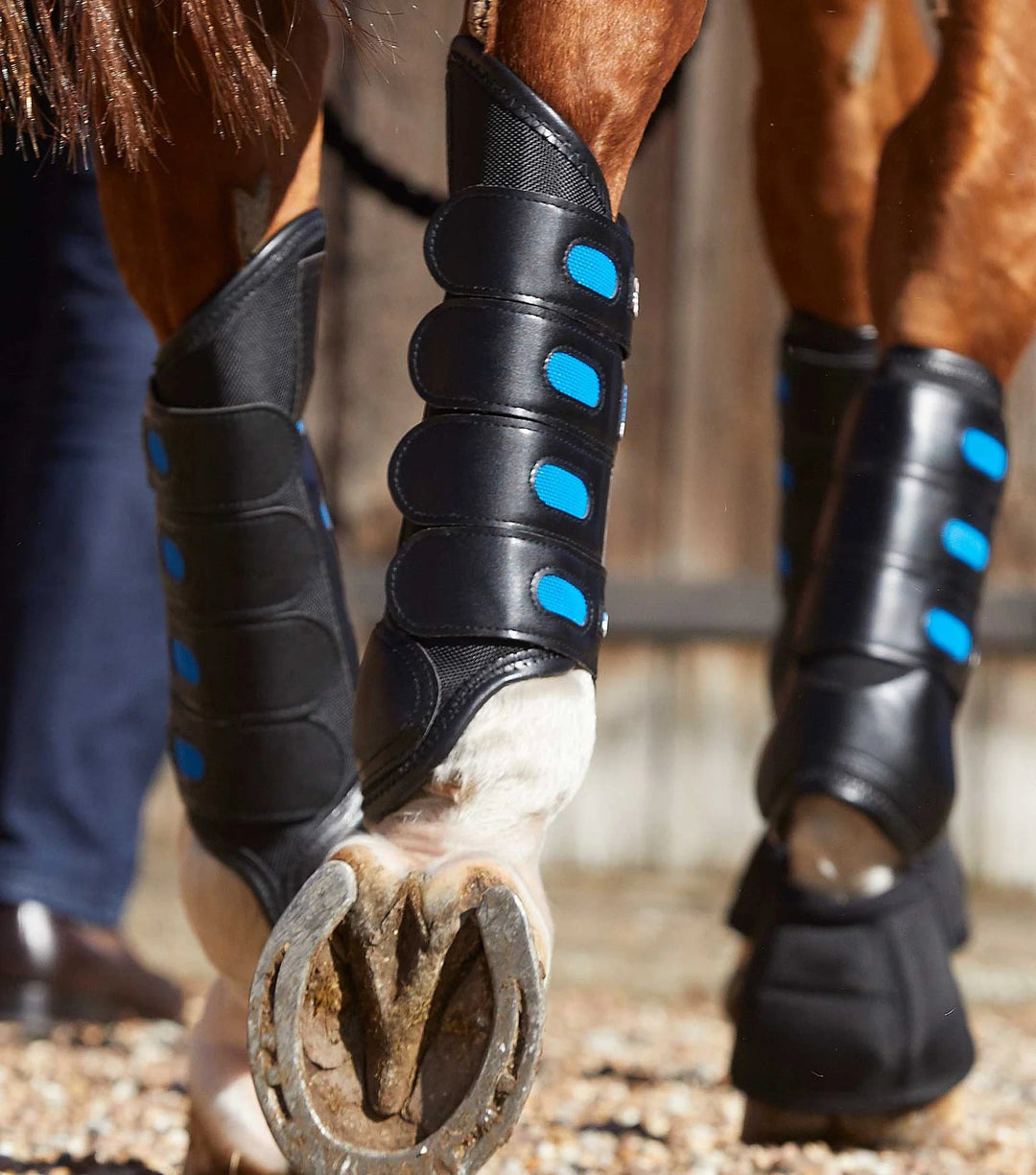 Eventing Horse Boots PEI Air Cooled Active Equine