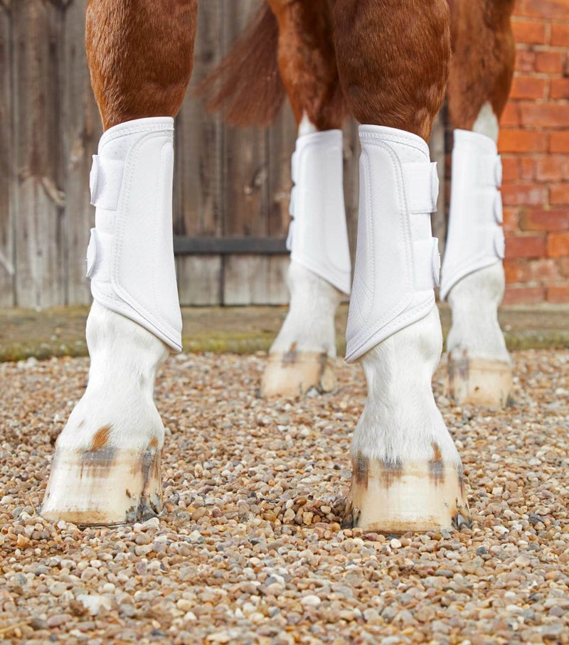 PEI Air-Tech Double Locking Brushing Horse Boots (set of 2) - Active Equine