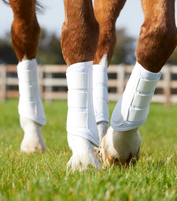 PEI Air-Tech Single Locking Brushing Horse Boots (set of 2) - Active Equine