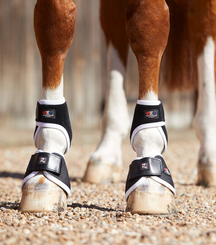 PEI Bi-Polar Magni-Teque Horse Fetlock Boots (set of 2) - Active Equine