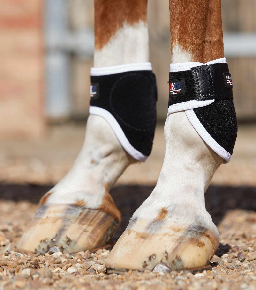 PEI Bi-Polar Magni-Teque Horse Fetlock Boots (set of 2) - Active Equine