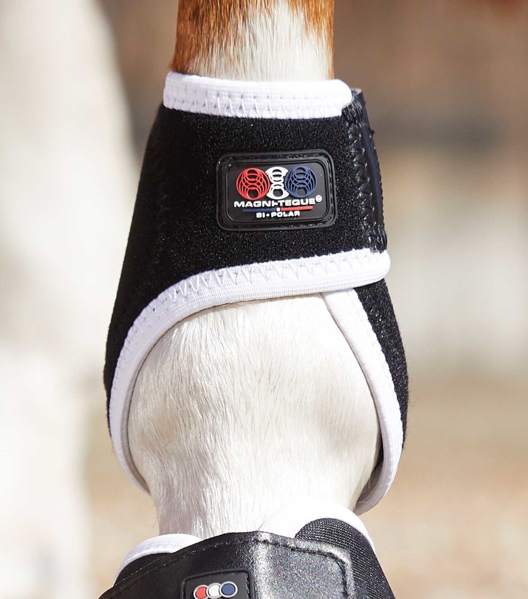 PEI Bi-Polar Magni-Teque Horse Fetlock Boots (set of 2) - Active Equine