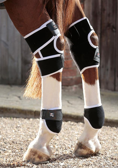 PEI Bi-Polar Magni-Teque Horse Hock Boots (set of 2) - Active Equine