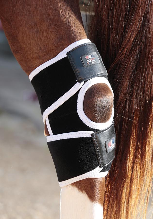Hock Boots For Horses - Active Equine