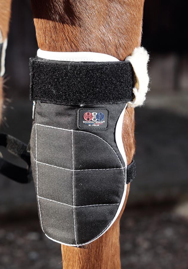 PEI Bi-Polar Magni-Teque Horse Knee Boots (set of 2) - Active Equine