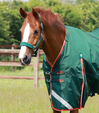 PEI Buster 0g Turnout Rug Rainsheet (detachable neck, waterproof) +BONUS BAG - Active Equine