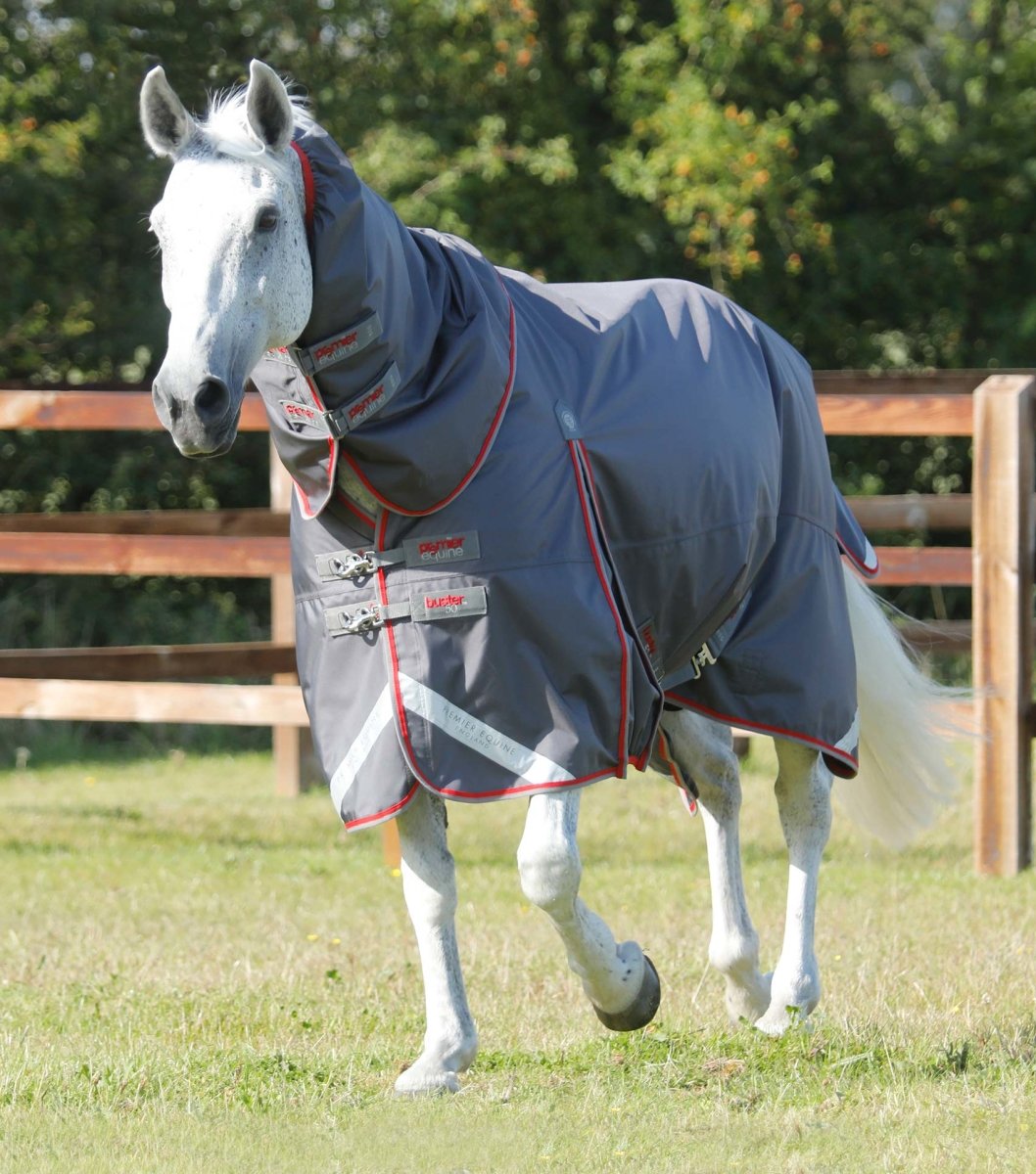 Turnout Rug PEI Buster 50g (detachable neck, waterproof) + BONUS Bag - Active Equine