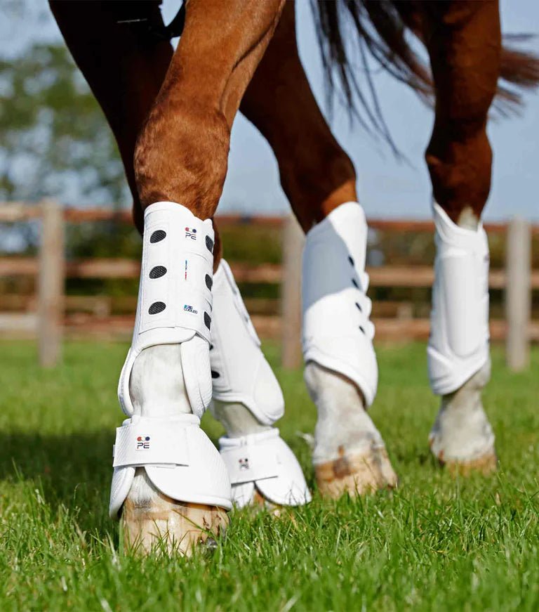 Pei horse boots best sale