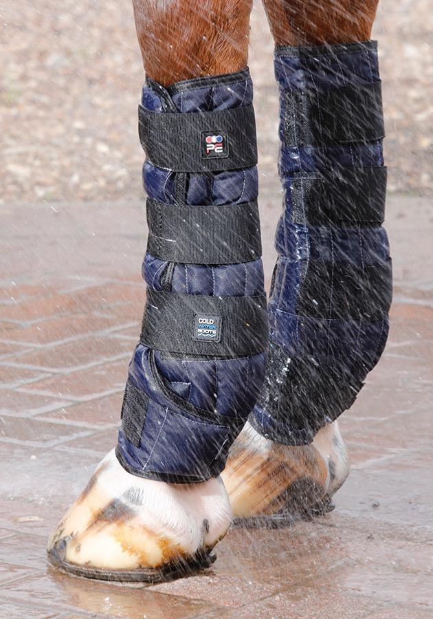 cold water therapy for horses