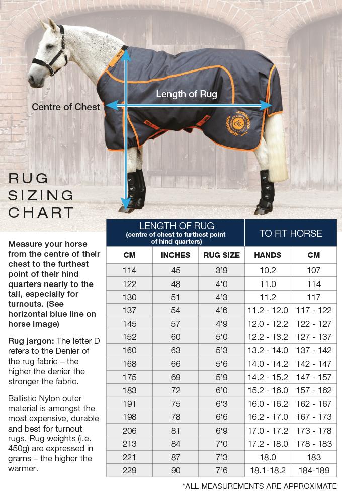 PEI Combo Mesh Air Fly Horse Rug (ideal for summer) - Active Equine