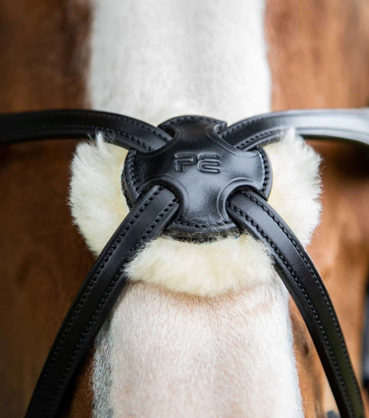 PEI Glorioso Grackle Bridle - Active Equine