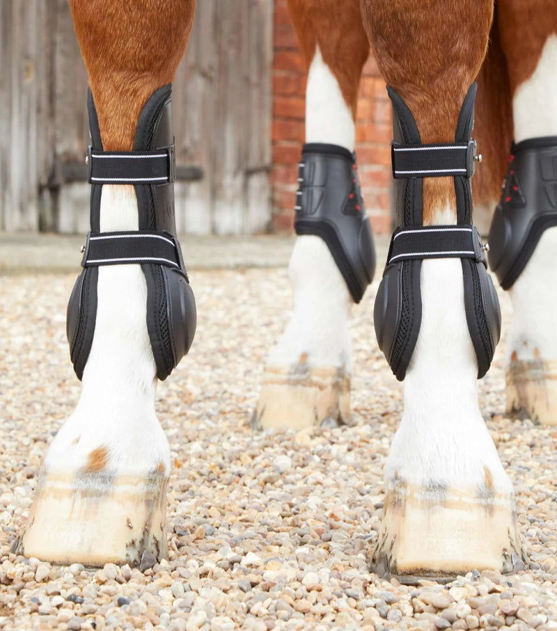 PEI Kevlar Air Tech Tendon Horse Boots - Active Equine