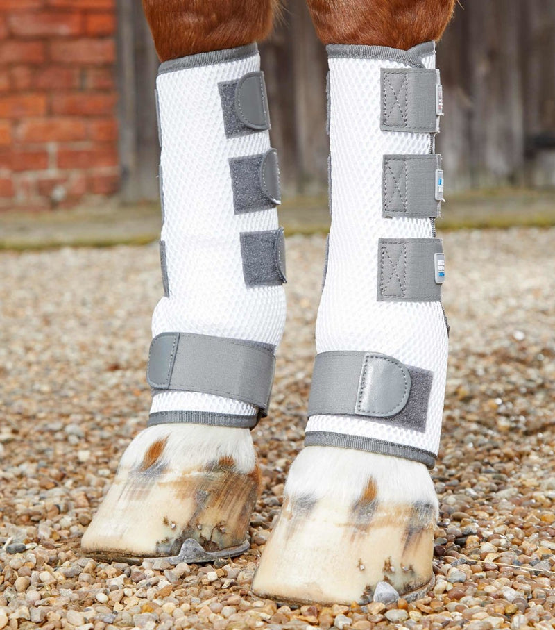 Fly Boots For Horses - Active Equine