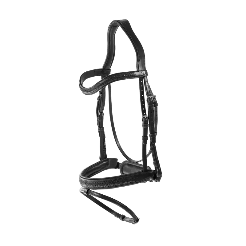 Plaited Flash Noseband Bridle with Pull back | Dyon | New English - Active Equine