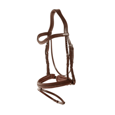 Plaited Flash Noseband Bridle with Pull back | Dyon | New English - Active Equine