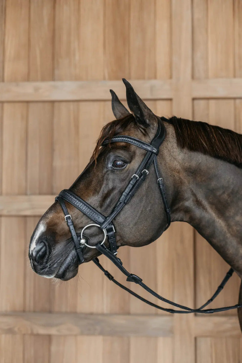 Plaited Flash Noseband Bridle with Pull back | Dyon | New English - Active Equine