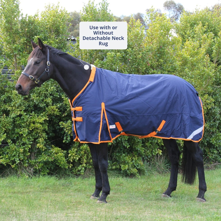 Primo 1200D 100g Detachable Neck Winter Rug | Liner Compatible - Active Equine