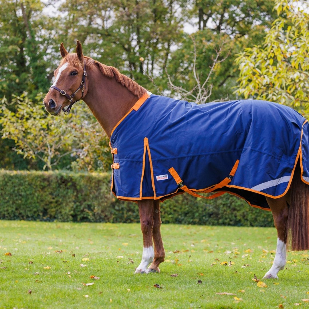 Primo 1200D 100g Detachable Neck Winter Rug | Liner Compatible - Active Equine