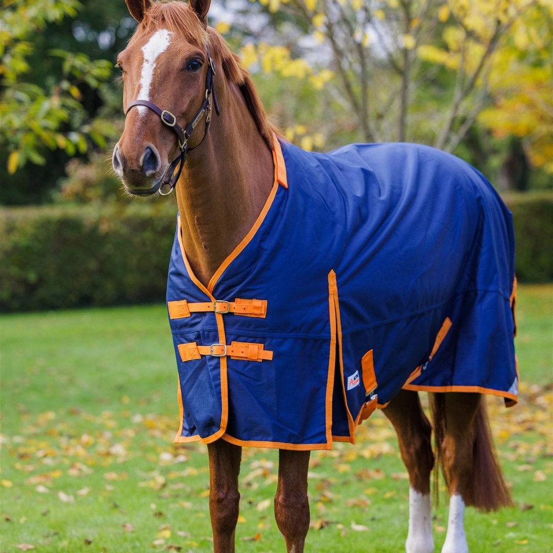 Primo 1200D 100g Detachable Neck Winter Rug | Liner Compatible - Active Equine