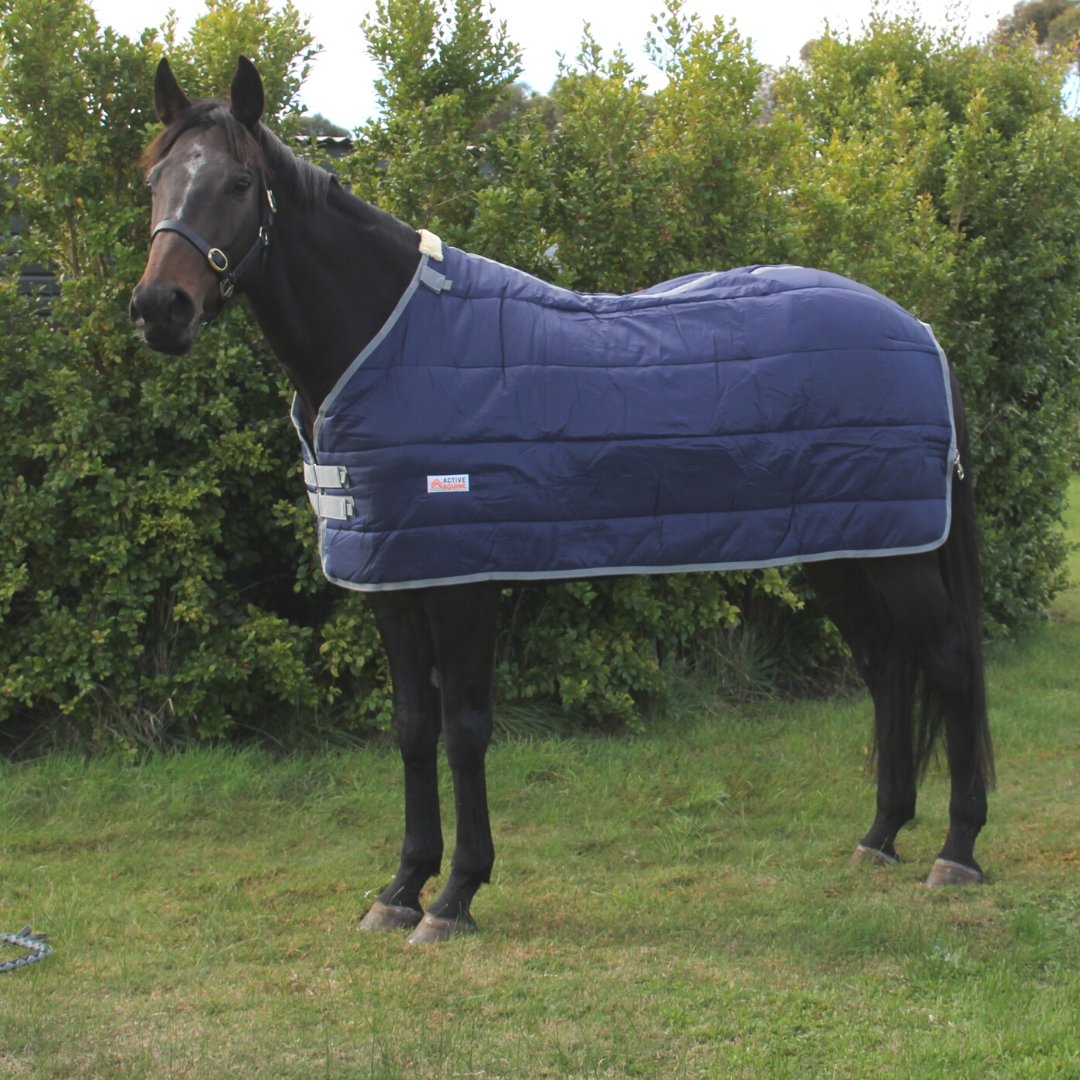 Primo 1200D Rug + Liner Bundle - Active Equine