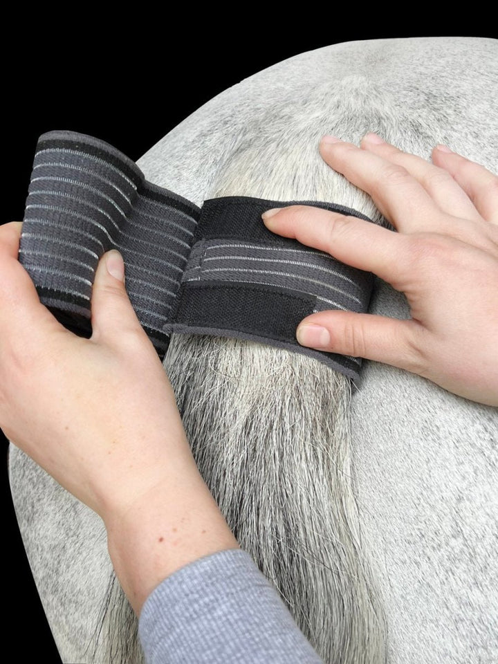 ProSport Essentials Tail Guard Wrap - Active Equine