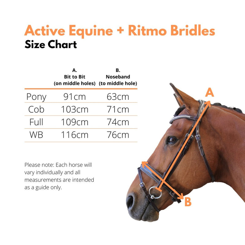Raised Leather Show Bridle + BONUS Bridle Bag | Active Equine - Active Equine