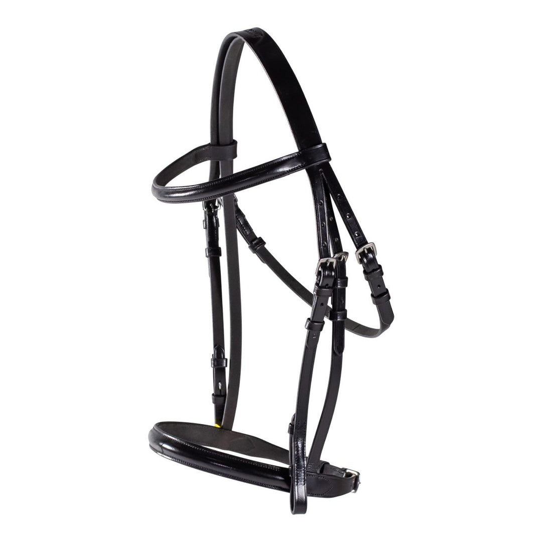 Raised Leather Show Bridle + BONUS Bridle Bag | Active Equine - Active Equine