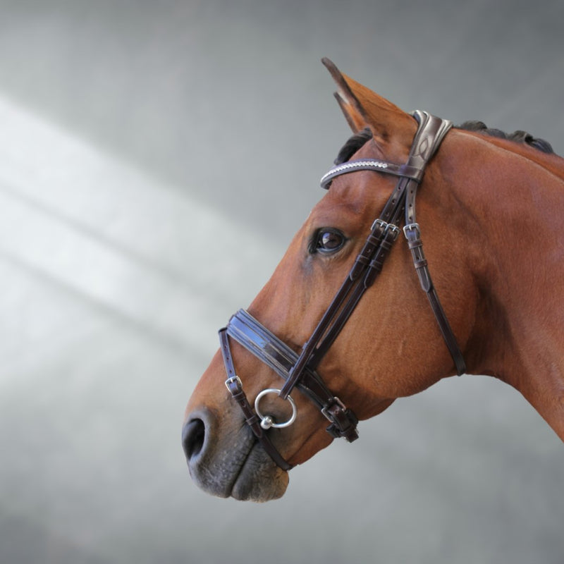 Equestrian Bridle + BAG | Ritmo - Active Equine